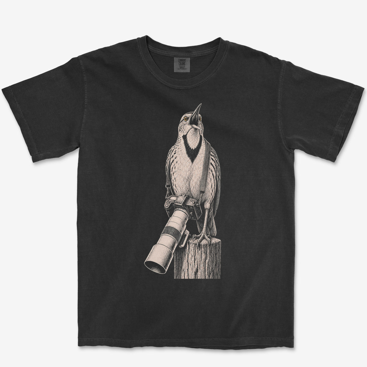 Long Lens Meadowlark Tee — black