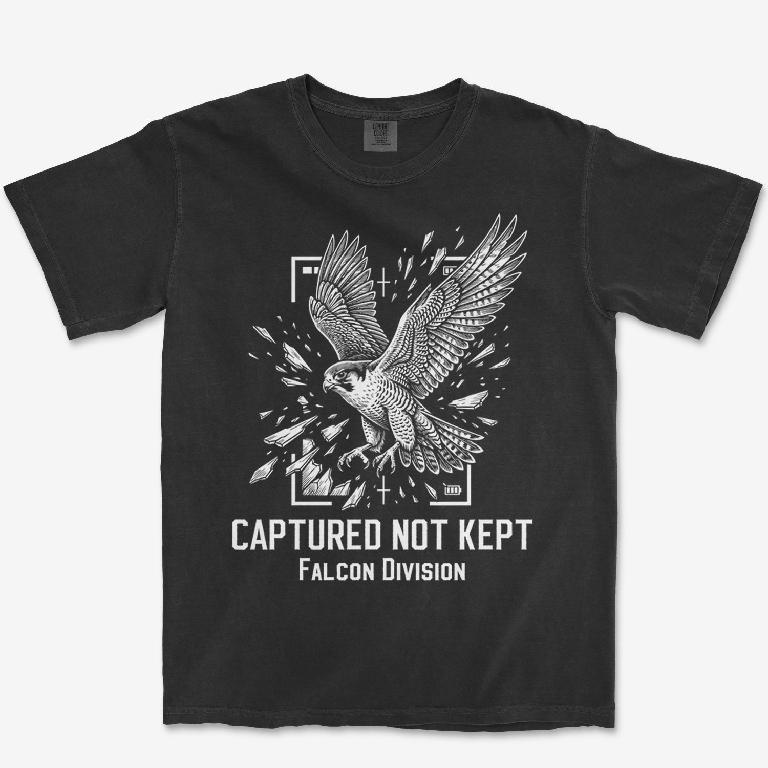 Not Kept Falcon Tee