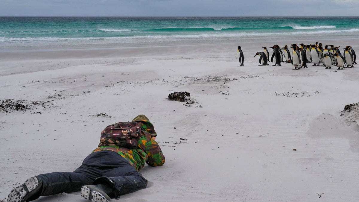 Martin lying on a Falklands beach photographing king penguins