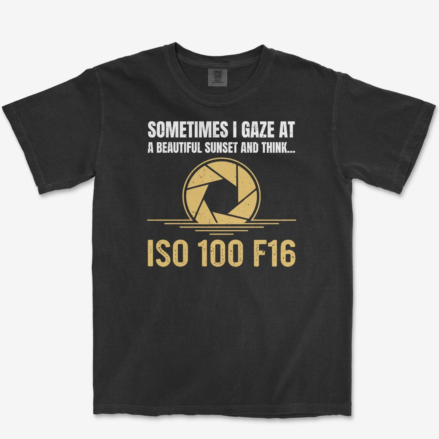 T-Shirt Black / S ISO 100 F16 - Premium T-Shirt