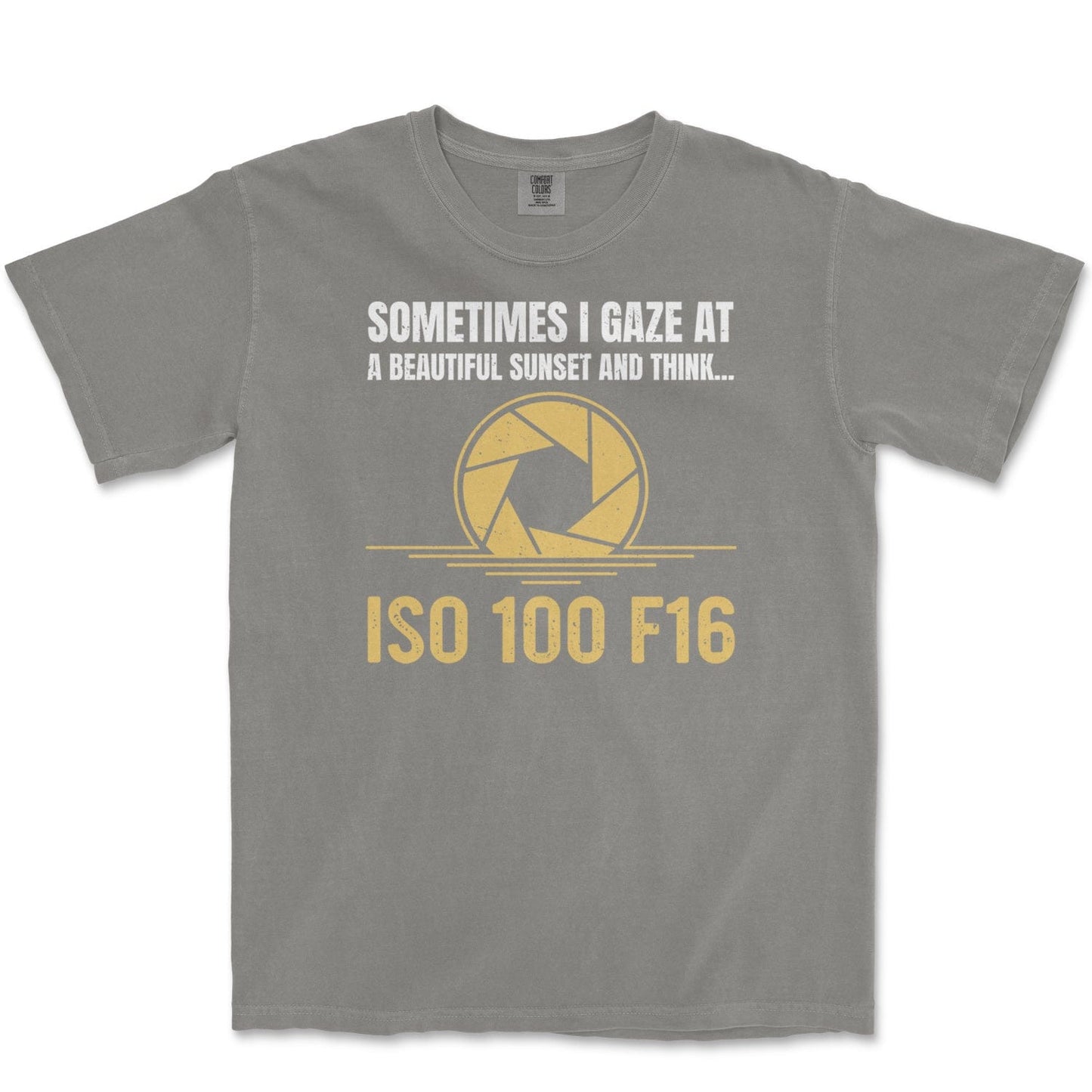 T-Shirt Grey / S ISO 100 F16 - Premium T-Shirt