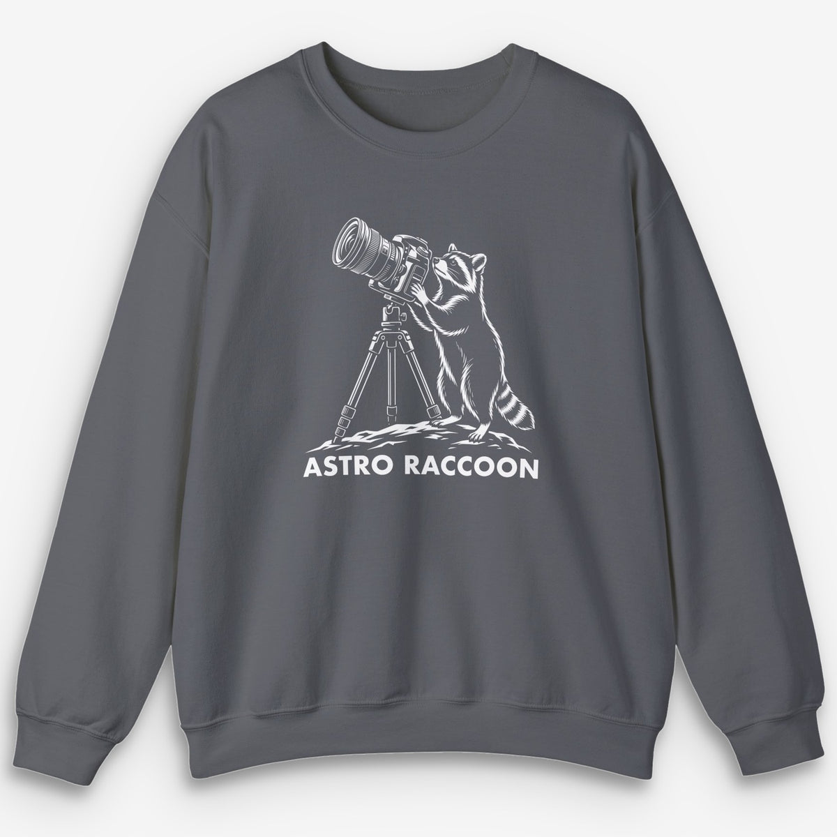 Astro Raccoon Sweatshirt