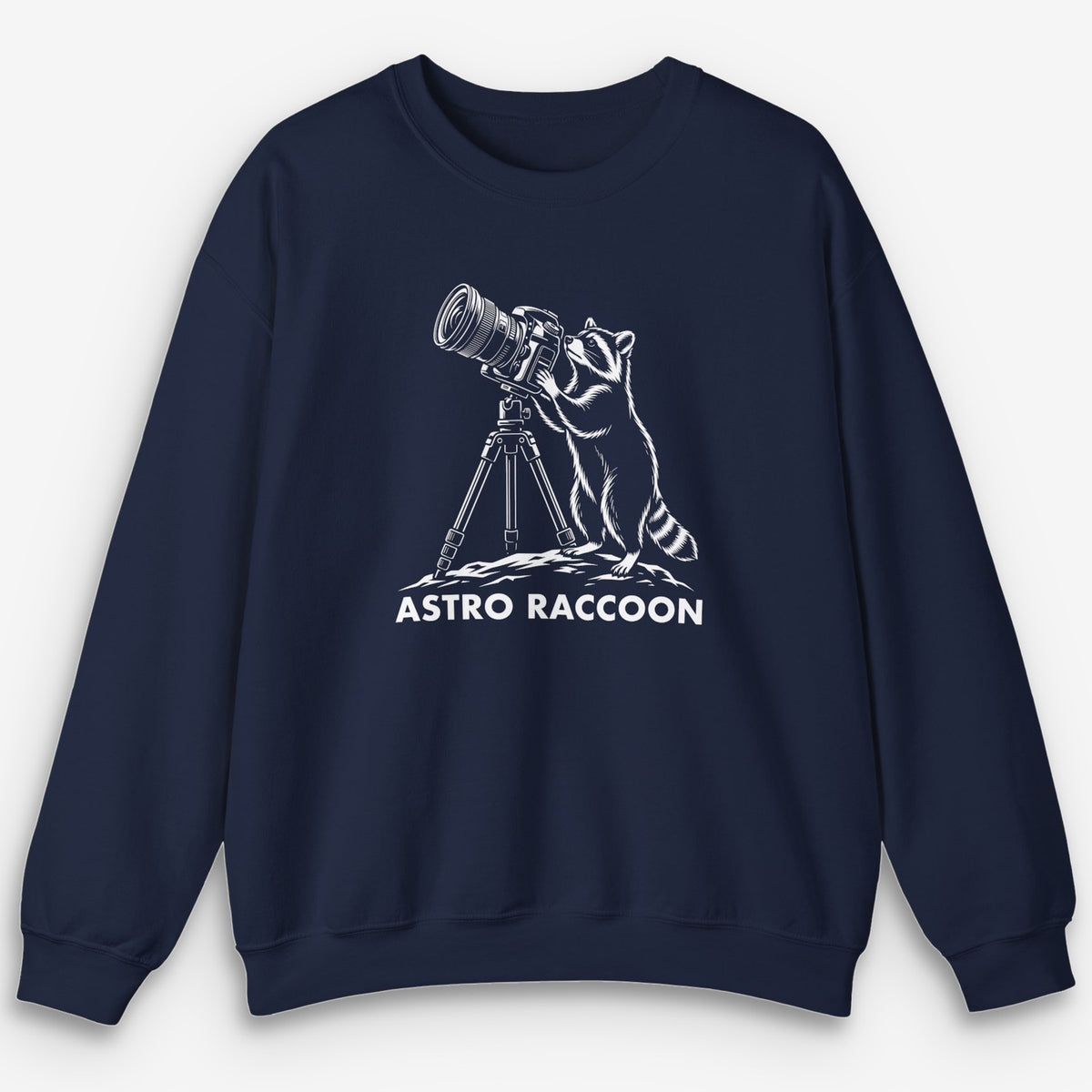 Astro Raccoon Sweatshirt