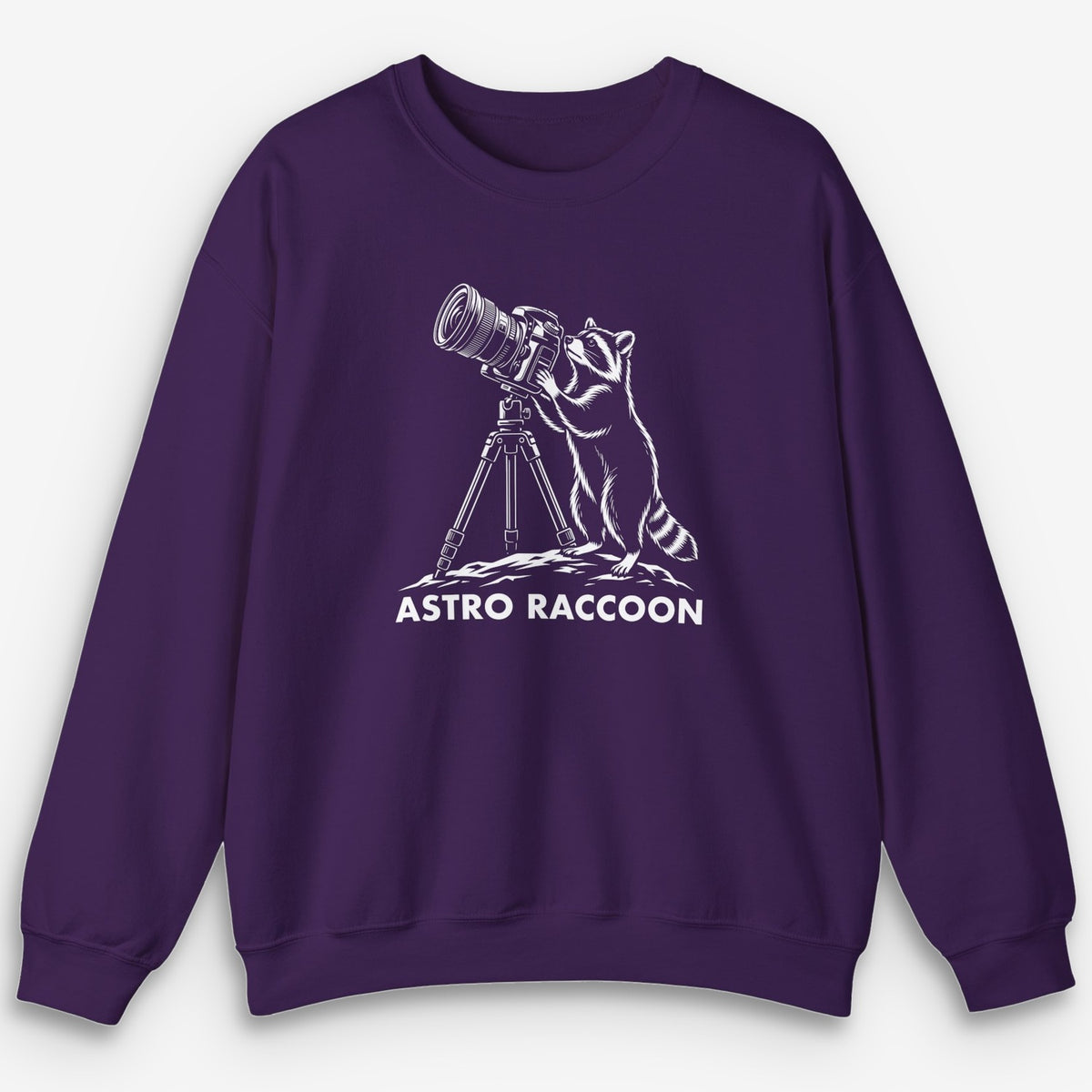 Astro Raccoon Sweatshirt
