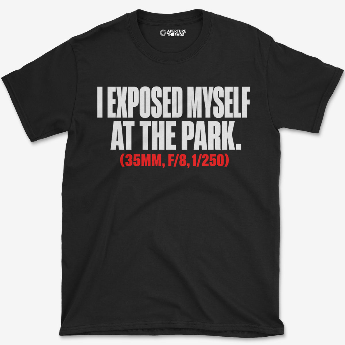 At the Park T-Shirt
