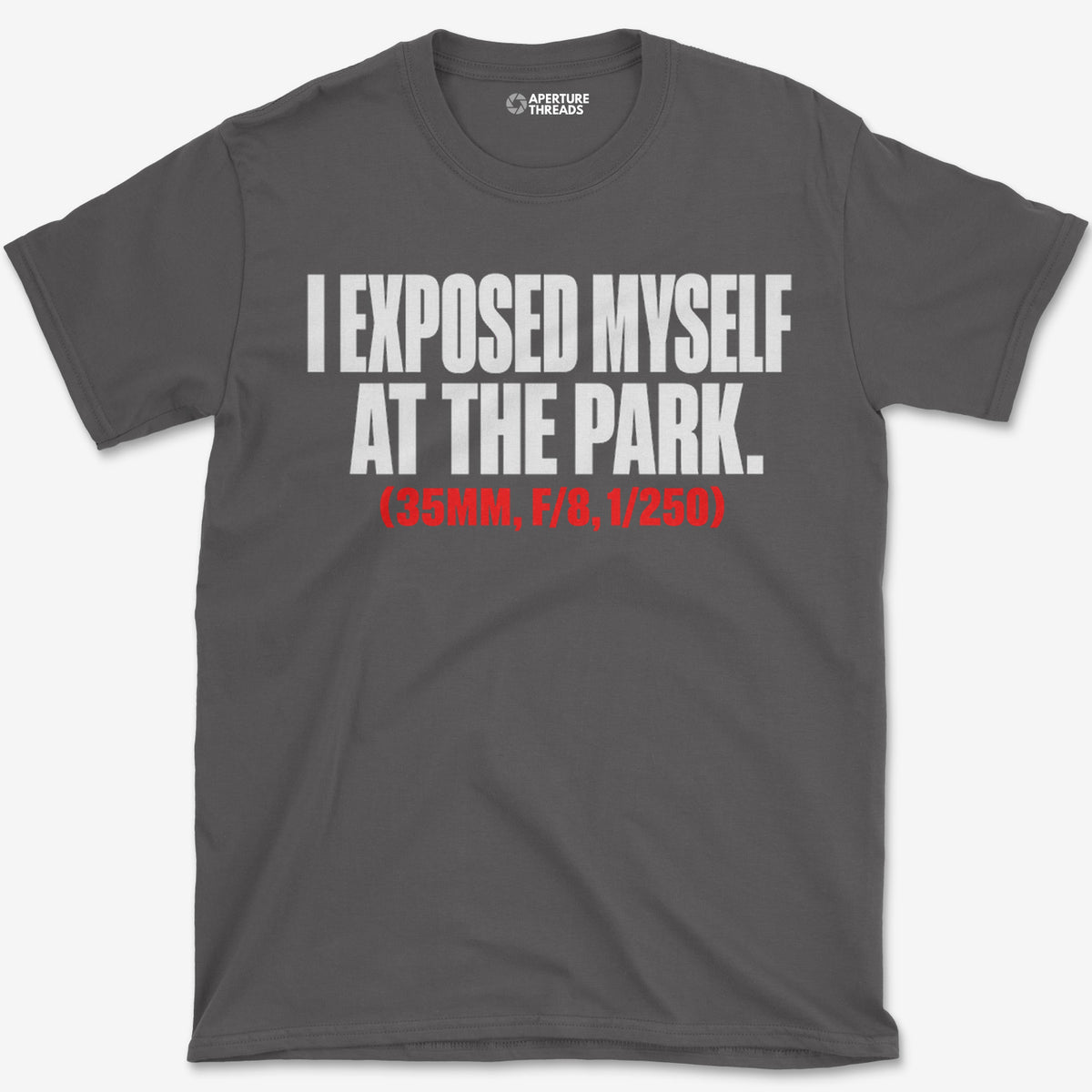 At the Park T-Shirt