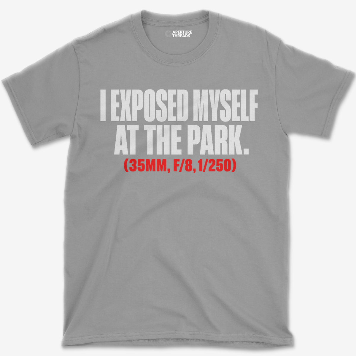 At the Park T-Shirt