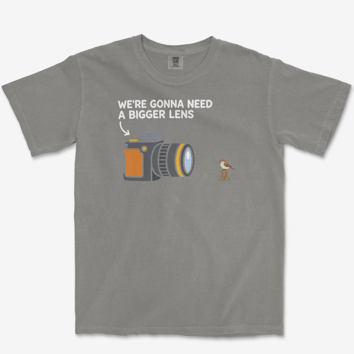 Bigger Lens Sparrow Tee — grey