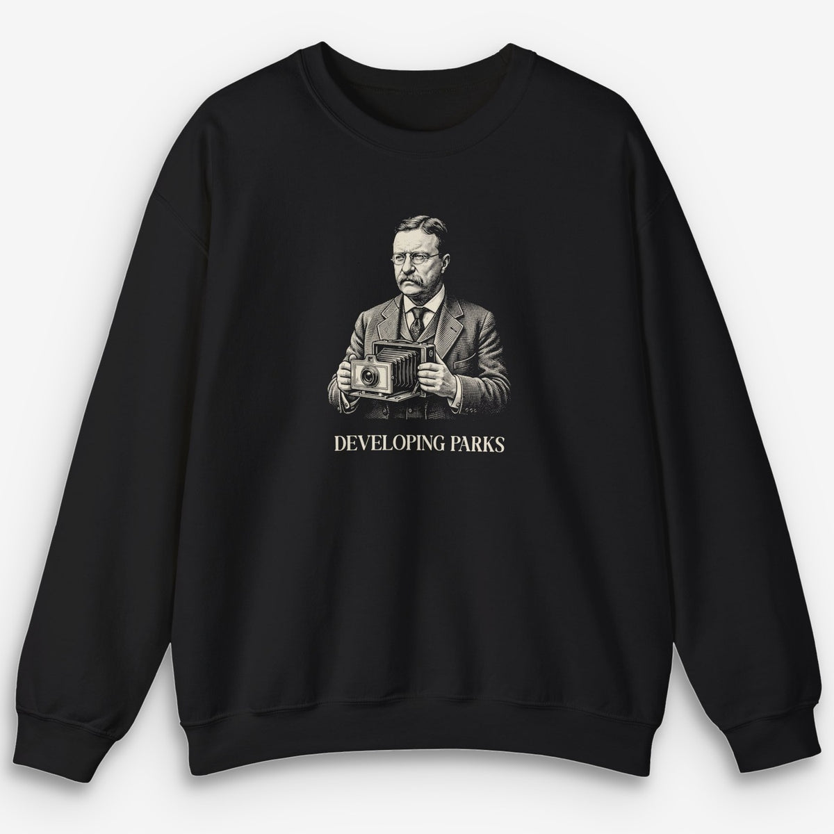 Developing Parks Sweatshirt