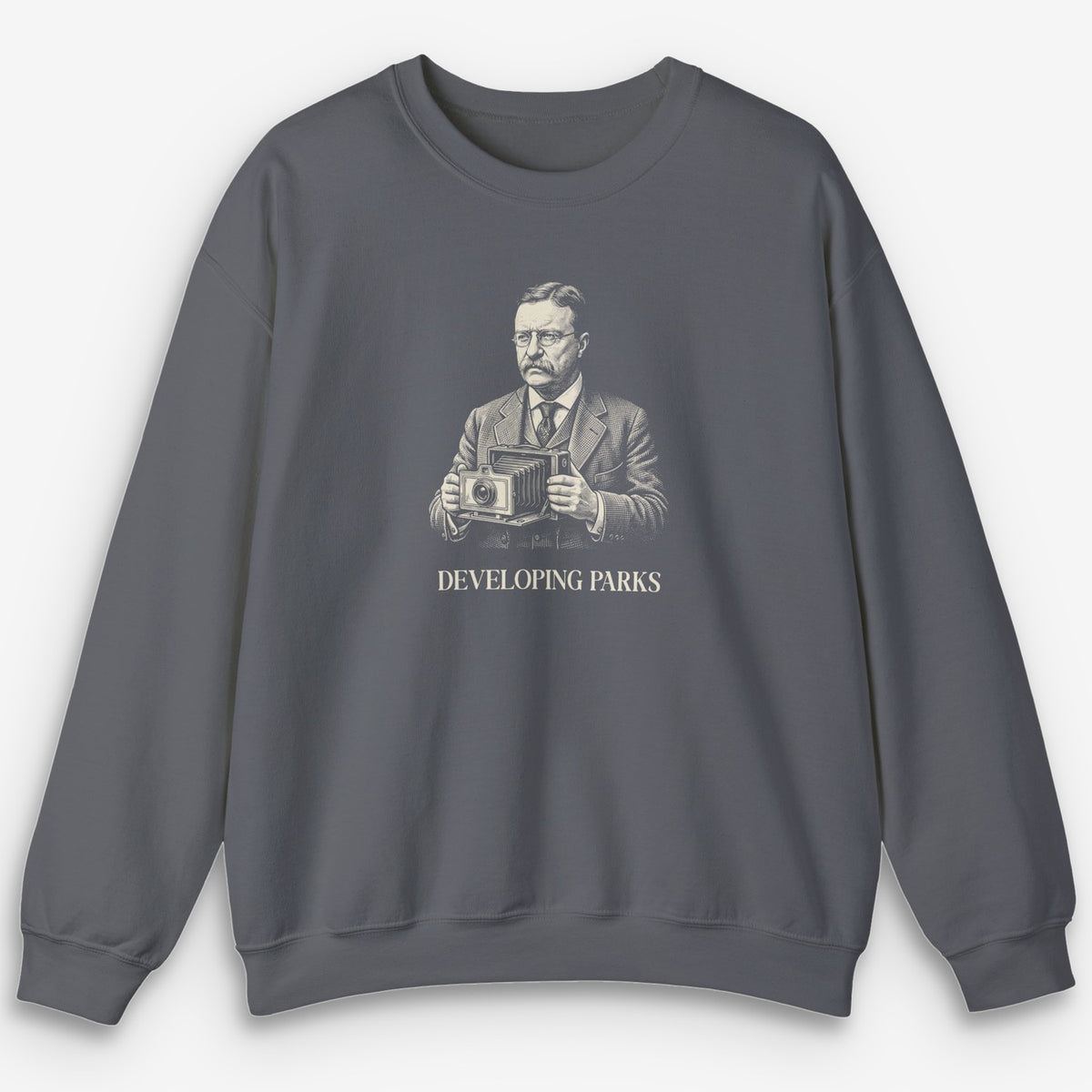 Developing Parks Sweatshirt