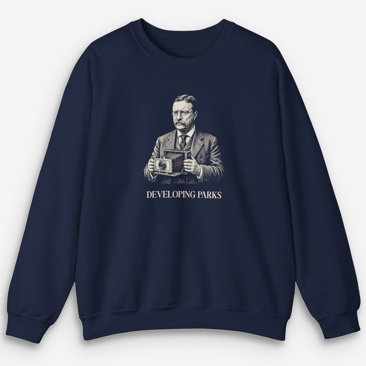 Developing Parks Sweatshirt