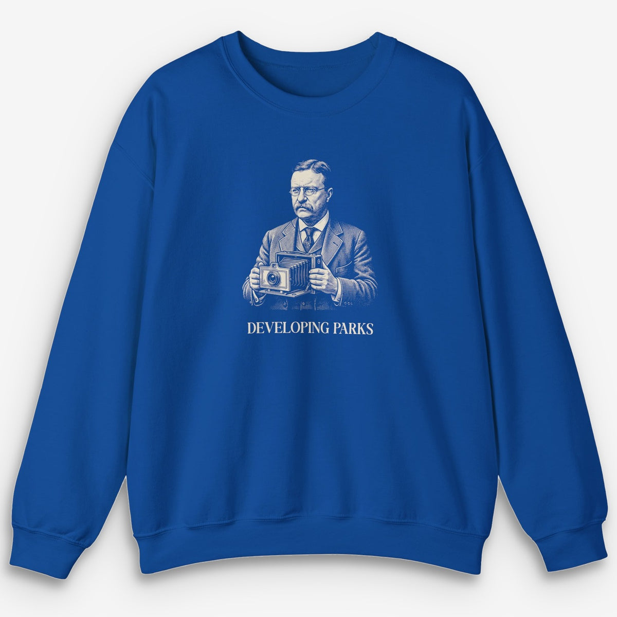 Developing Parks Sweatshirt