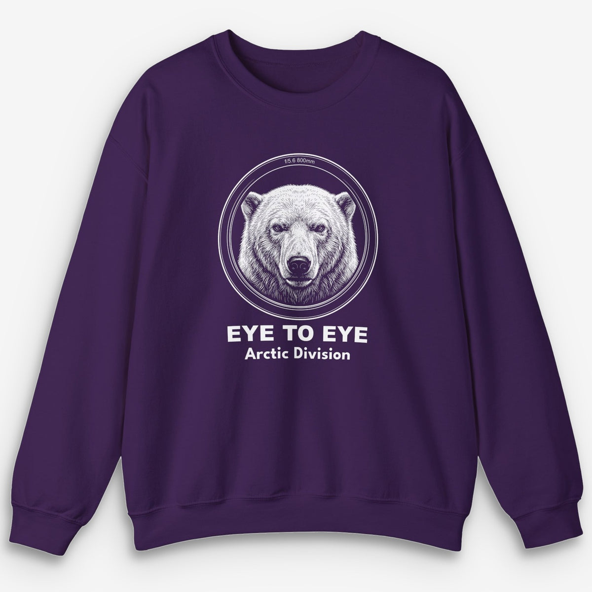 Eye to Eye Arctic Sweatshirt