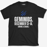 Geminids T-Shirt