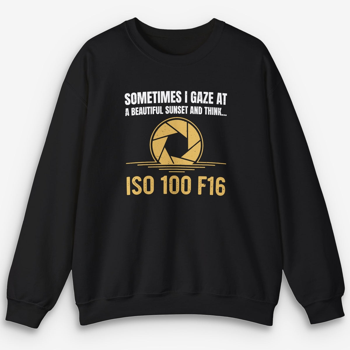 ISO 100 F16 Sweatshirt