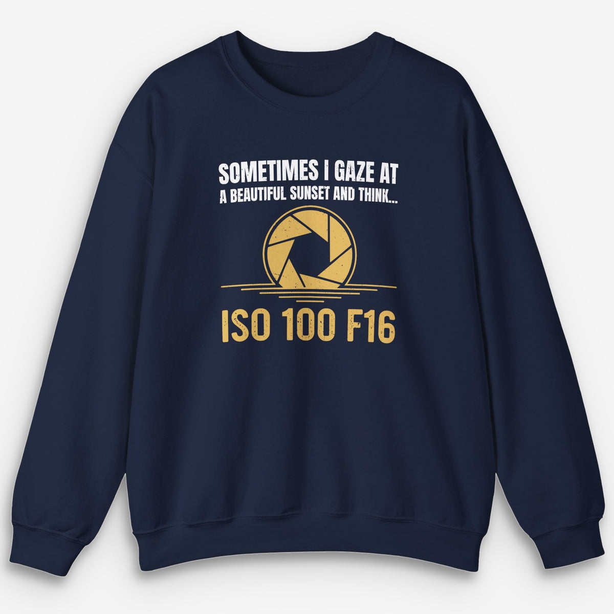 ISO 100 F16 Sweatshirt