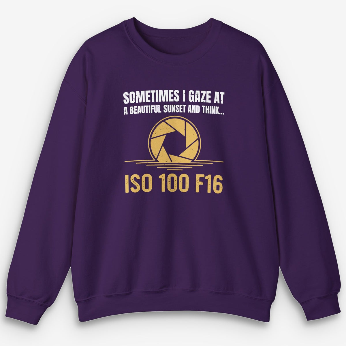 ISO 100 F16 Sweatshirt