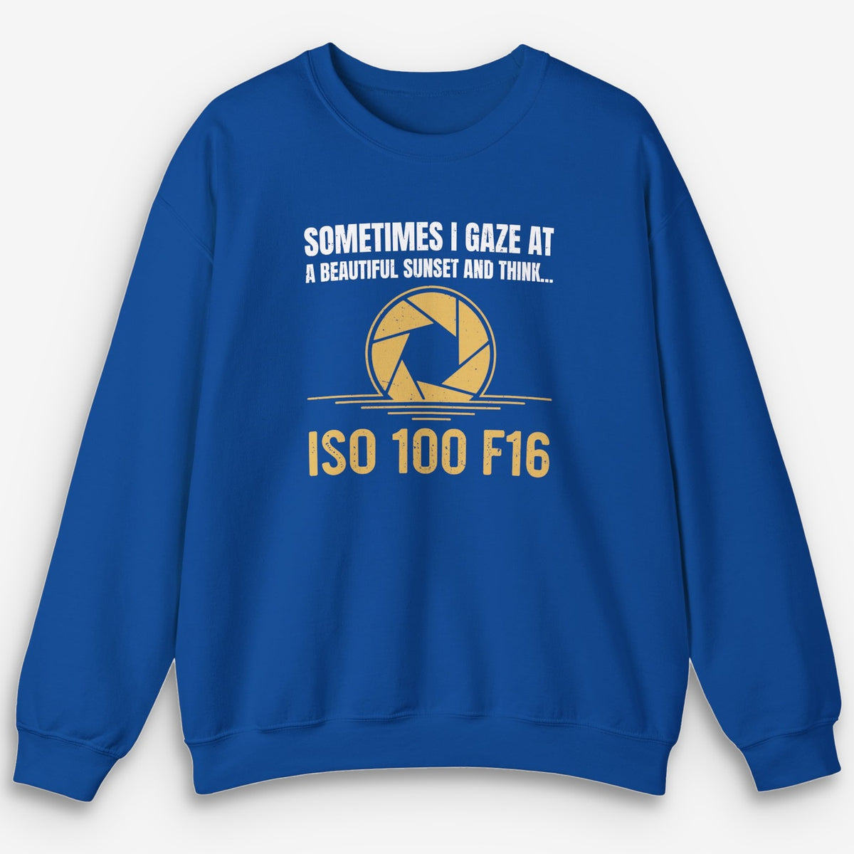 ISO 100 F16 Sweatshirt