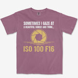 ISO 100 F16 Heavyweight Tee