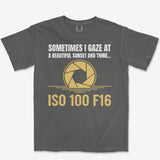 ISO 100 F16 Heavyweight Tee