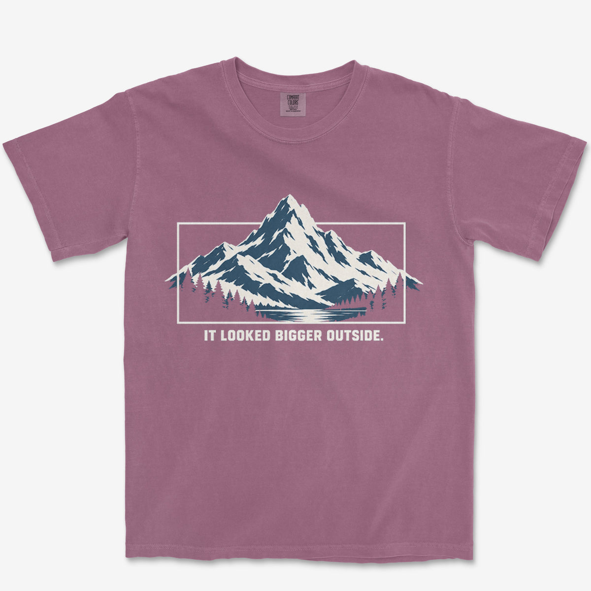 It Looked Bigger Outside Heavyweight Tee