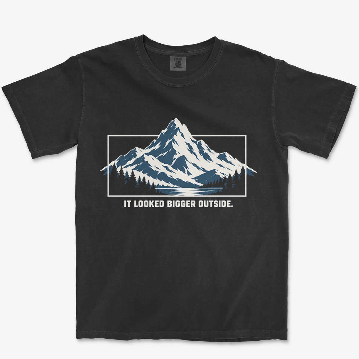 It Looked Bigger Outside Heavyweight Tee