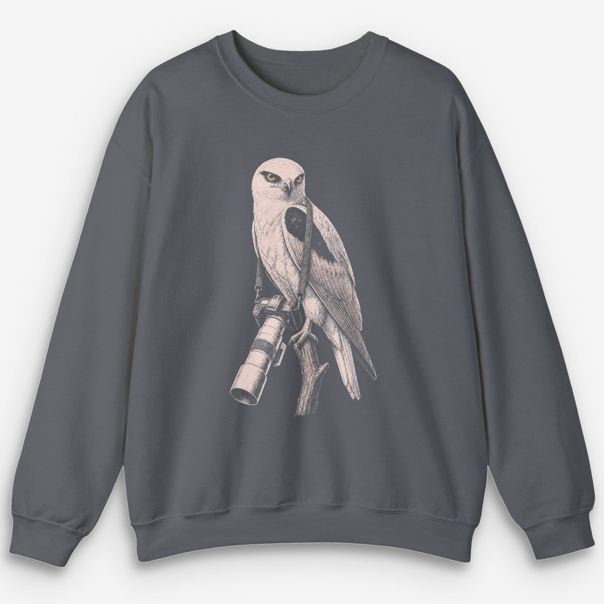 Long Lens Kite Sweatshirt
