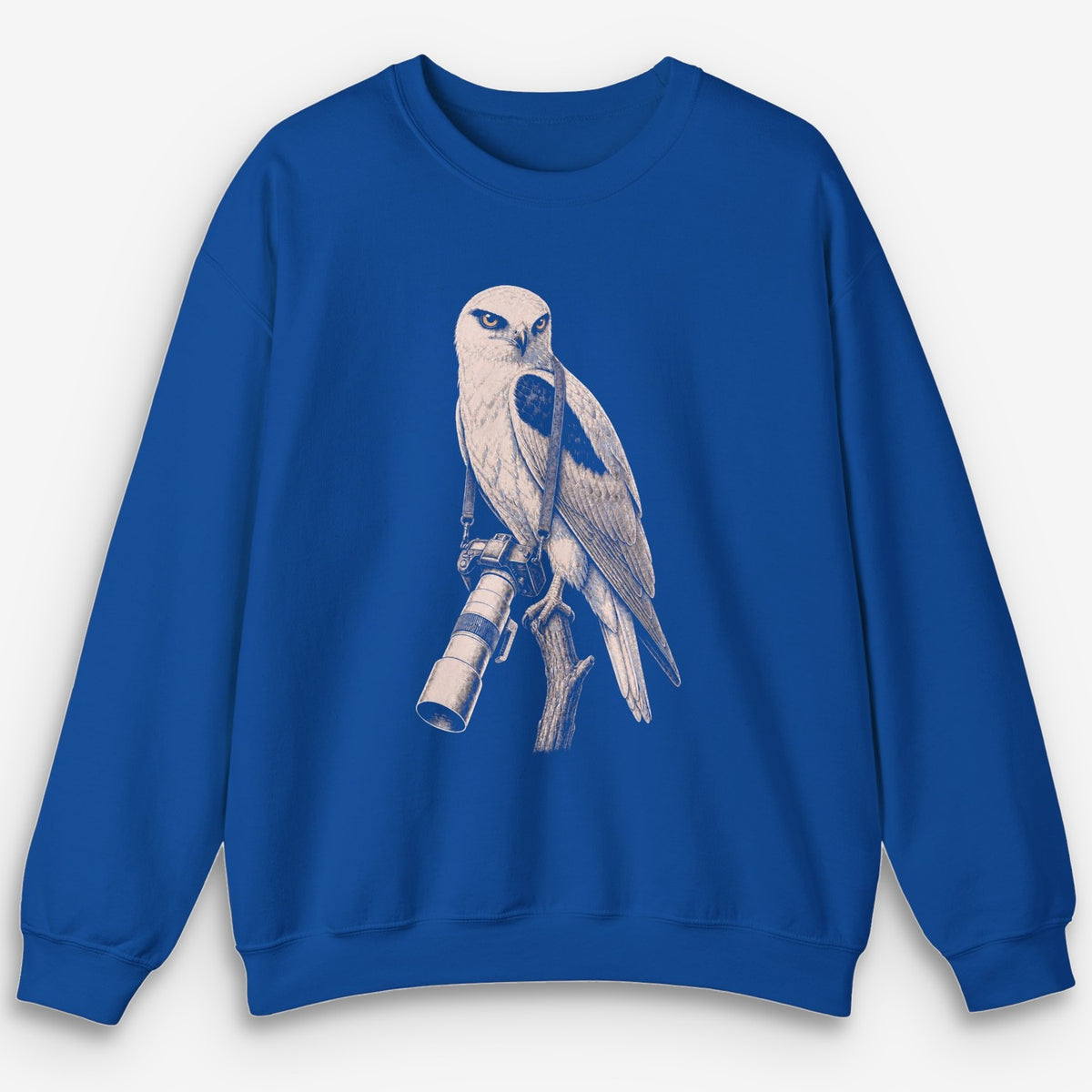 Long Lens Kite Sweatshirt