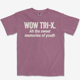 Memories of Youth Heavyweight Tee