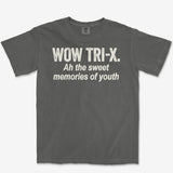 Memories of Youth Heavyweight Tee