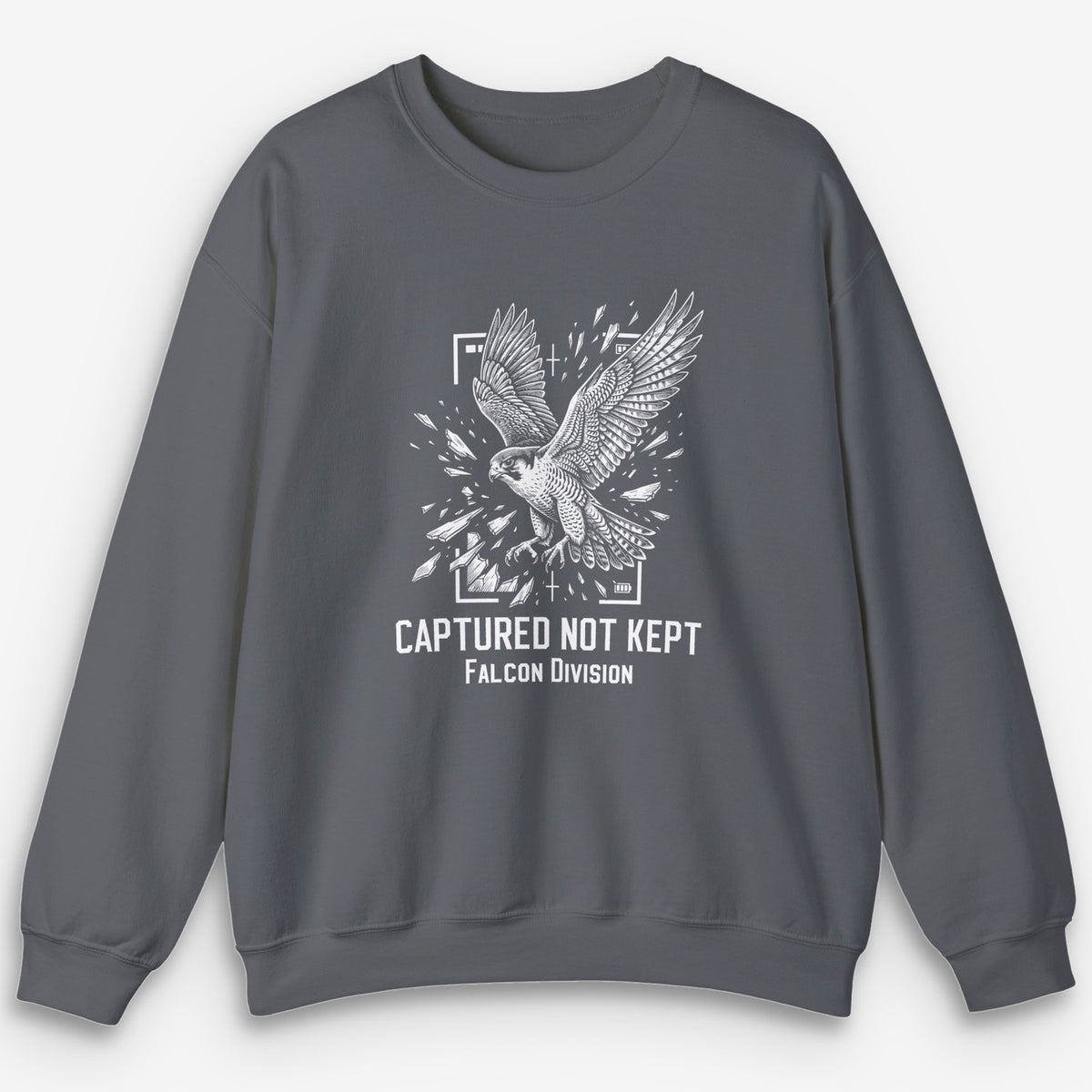 Not Kept Falcon Sweatshirt