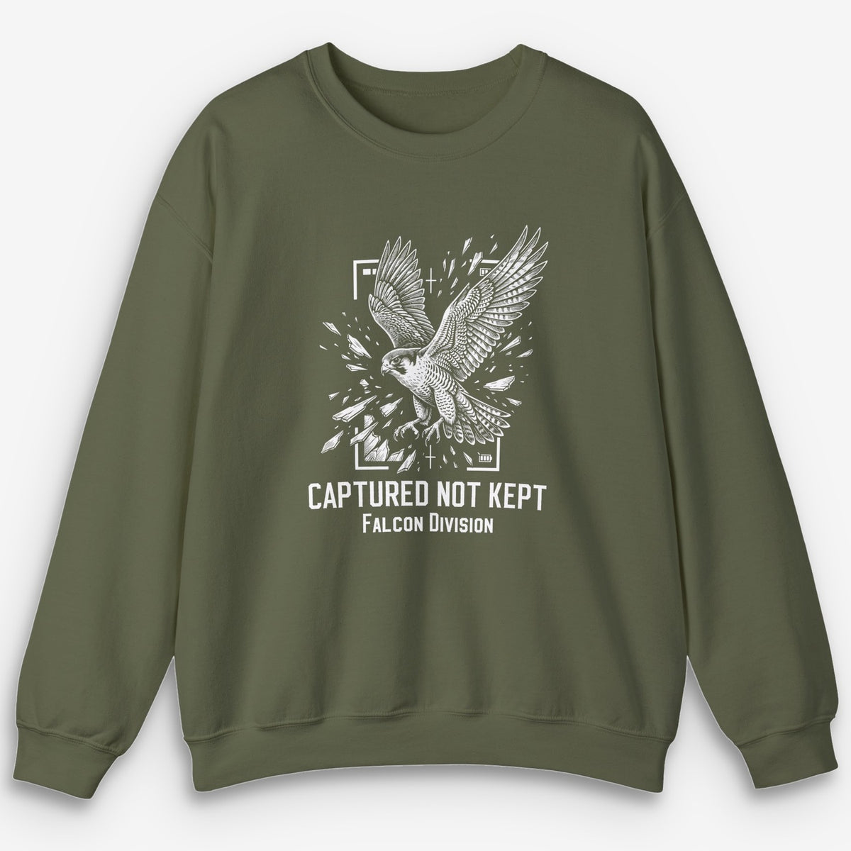 Not Kept Falcon Sweatshirt