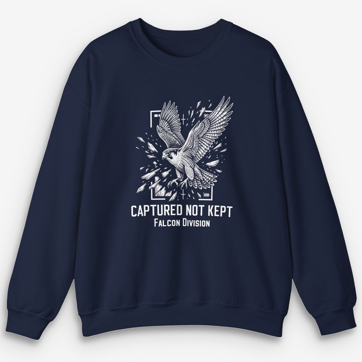 Not Kept Falcon Sweatshirt