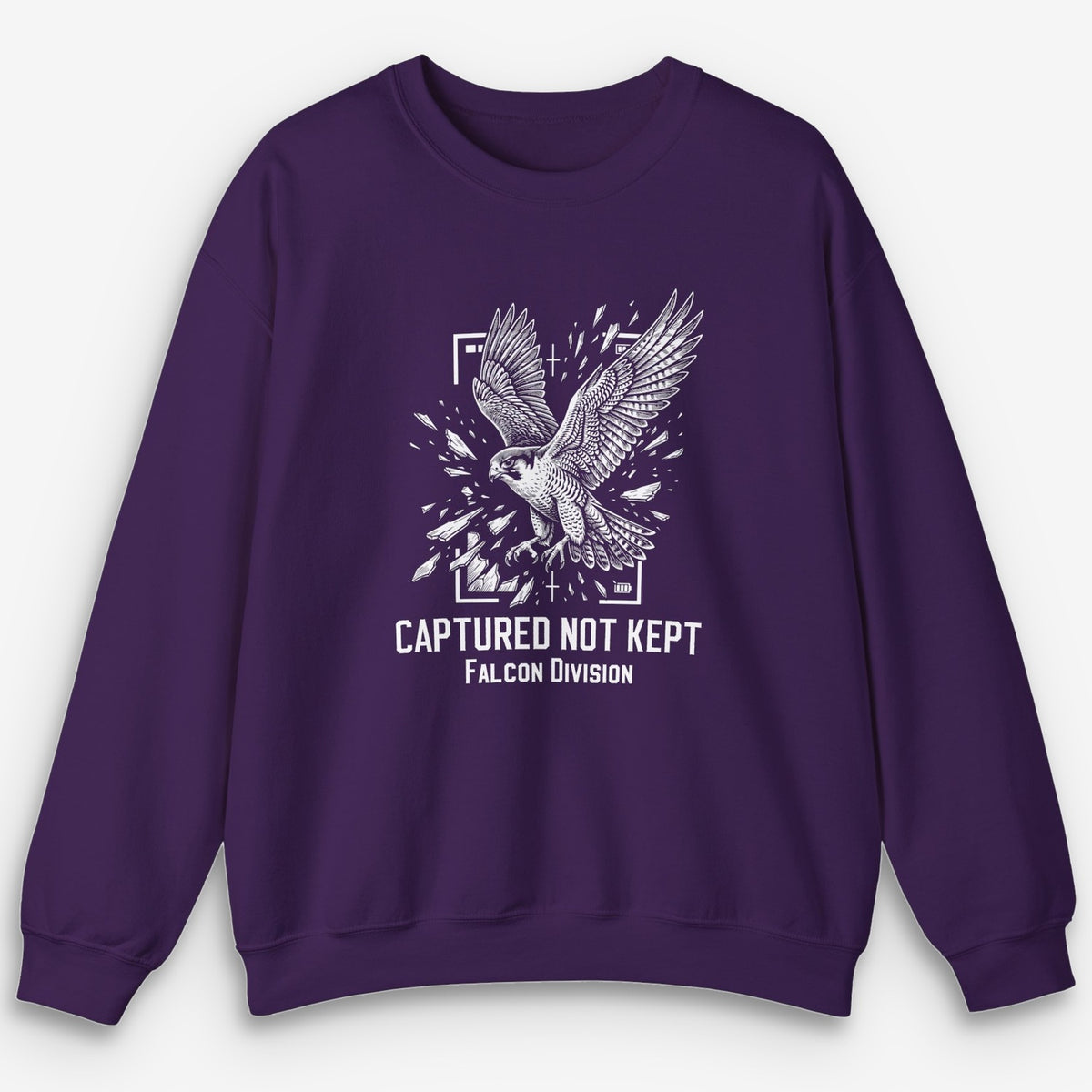 Not Kept Falcon Sweatshirt