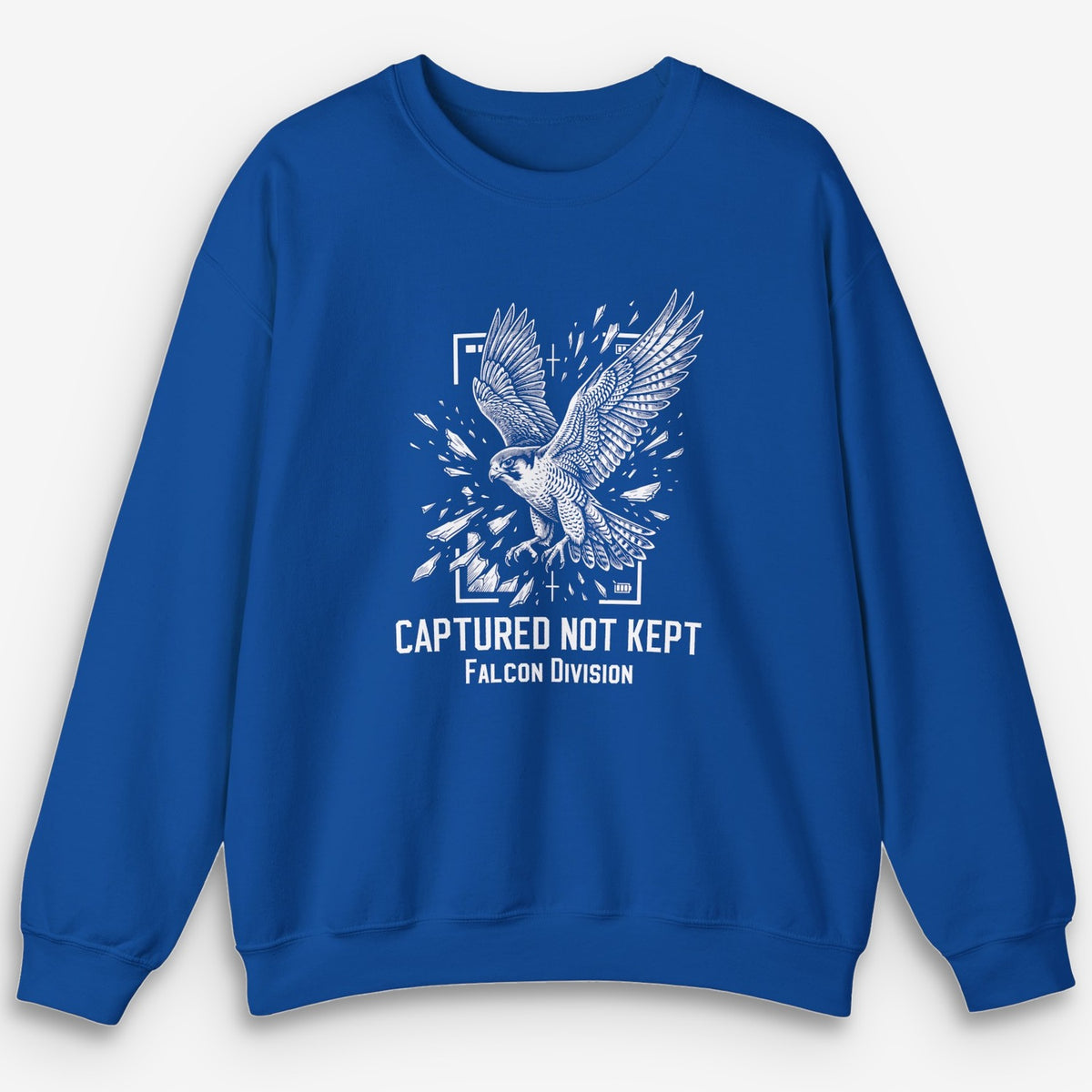 Not Kept Falcon Sweatshirt