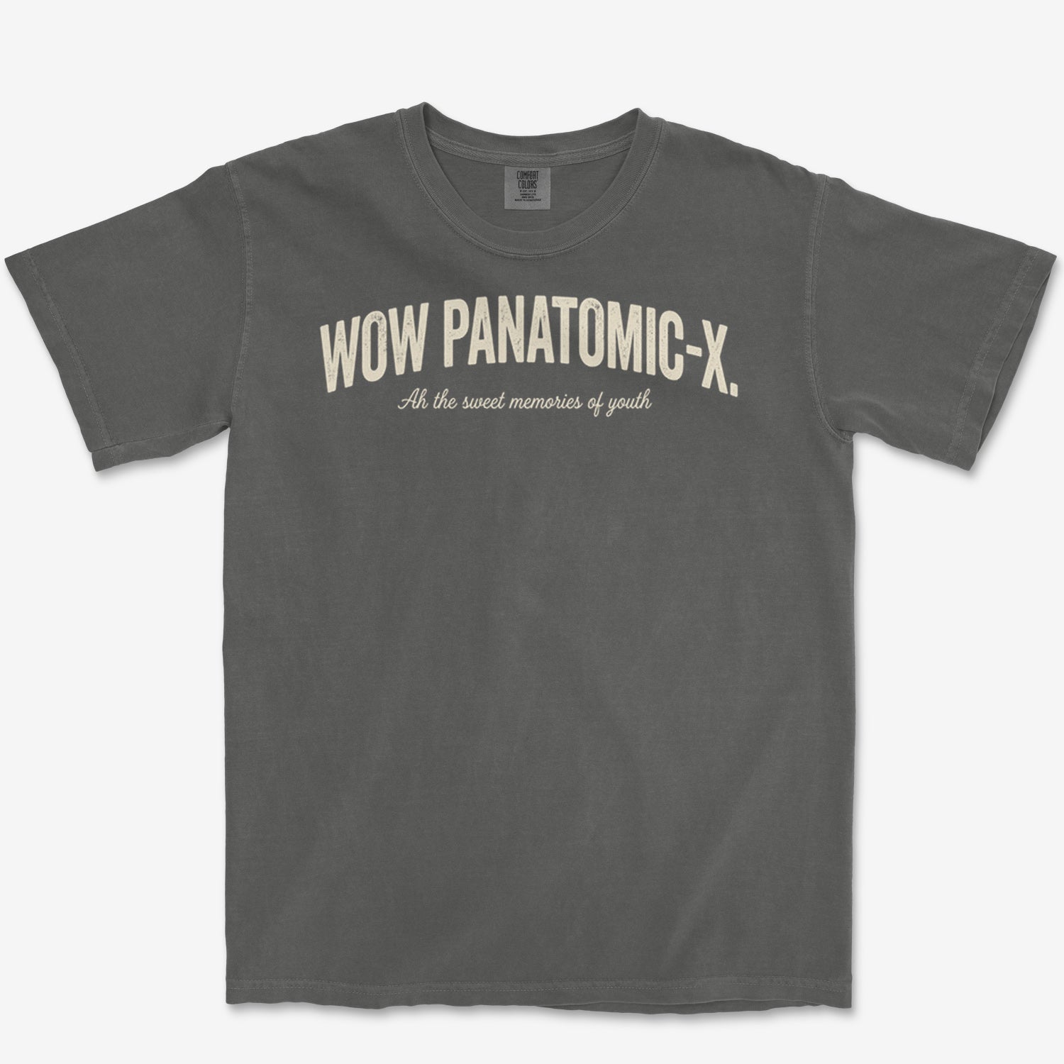 Panatomic Memories Heavyweight Tee