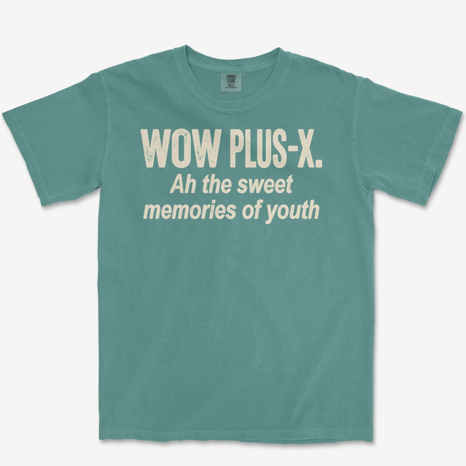 Plus-X Memories Heavyweight Tee