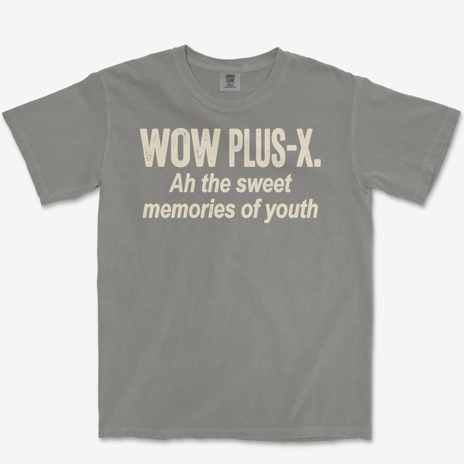 Plus-X Memories Heavyweight Tee