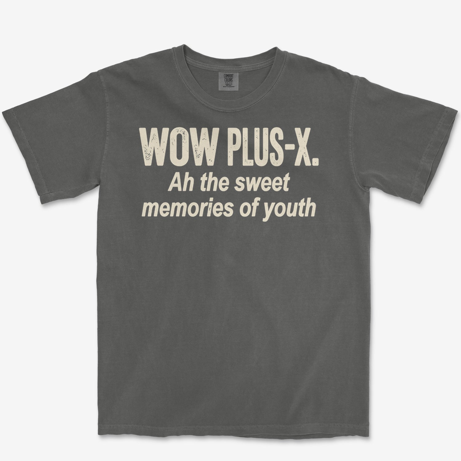 Plus-X Memories Heavyweight Tee