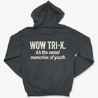 Hoodie Dark Heather / S Memories of Youth - Zip Hoodie