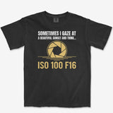 T-Shirt Black / S ISO 100 F16 - Premium T-Shirt