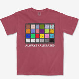 T-Shirt Brick / S Color Checker Heavyweight Tee