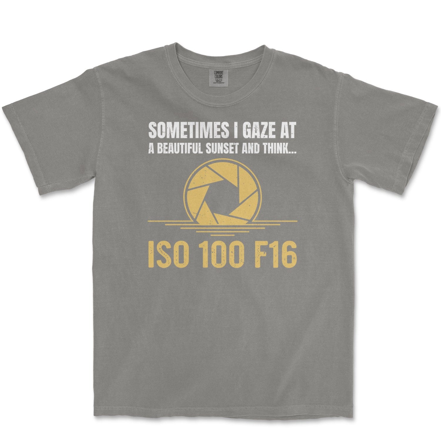 T-Shirt Grey / S ISO 100 F16 - Premium T-Shirt