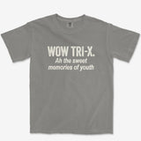 T-Shirt Grey / S Memories of Youth - Premium T-Shirt
