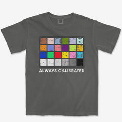 T-Shirt Pepper / S Color Checker Heavyweight Tee